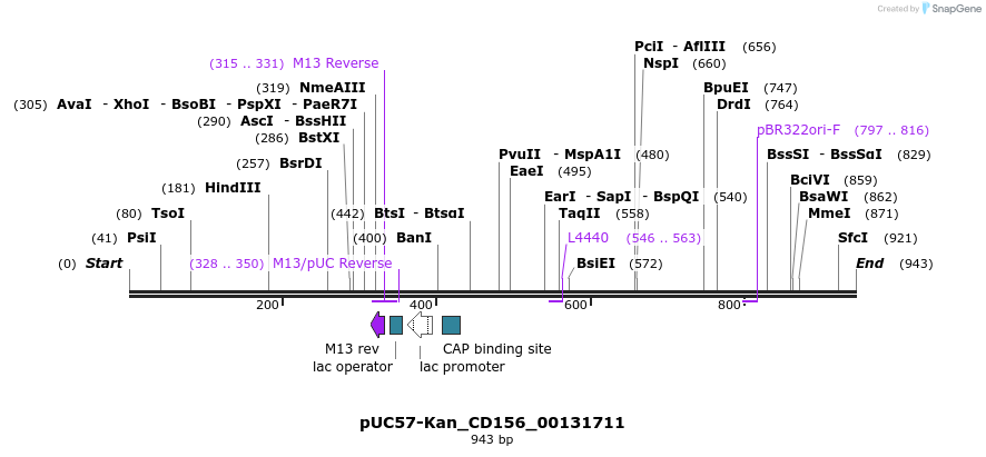 238007_map