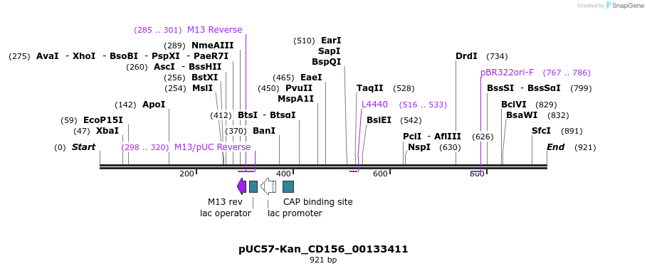 238009_map