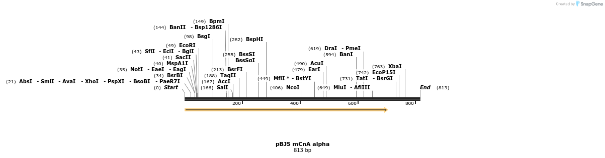 23801_map