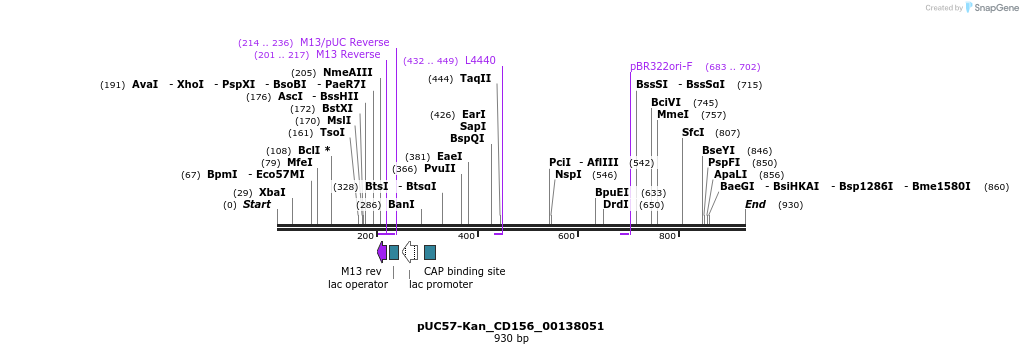 238010_map