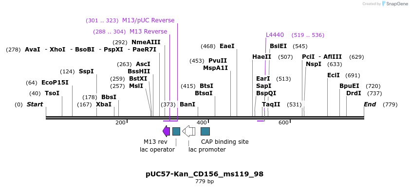 238011_map