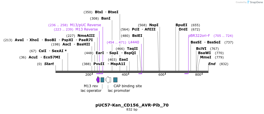 238014_map