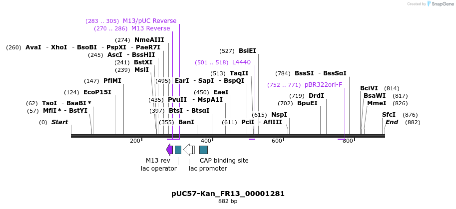 238017_map
