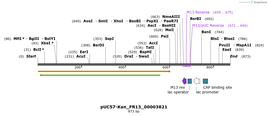 238018_map