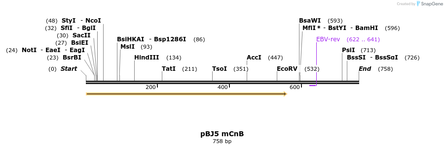 23802_map