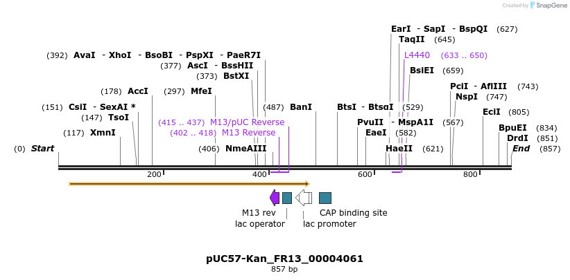 238020_map