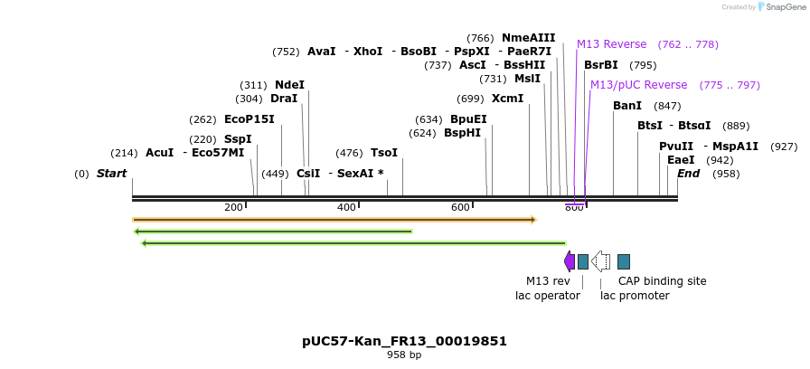 238022_map