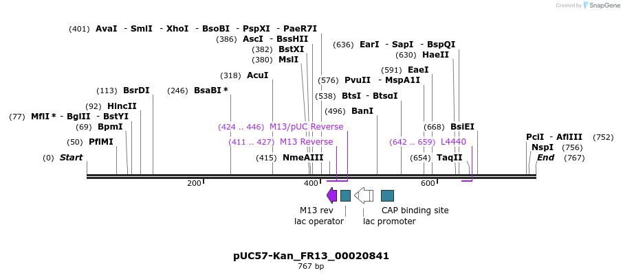 238023_map