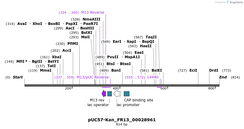 238024_map