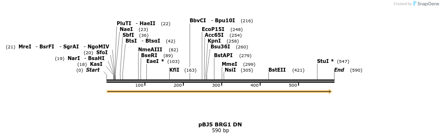 23804_map