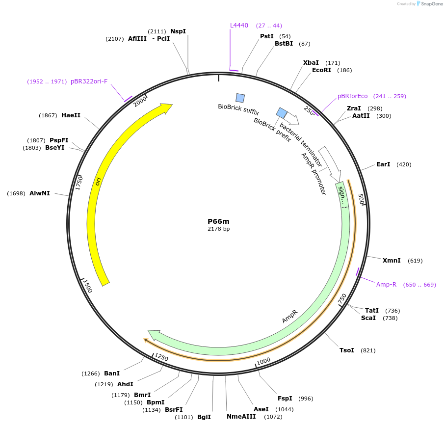 238040_map