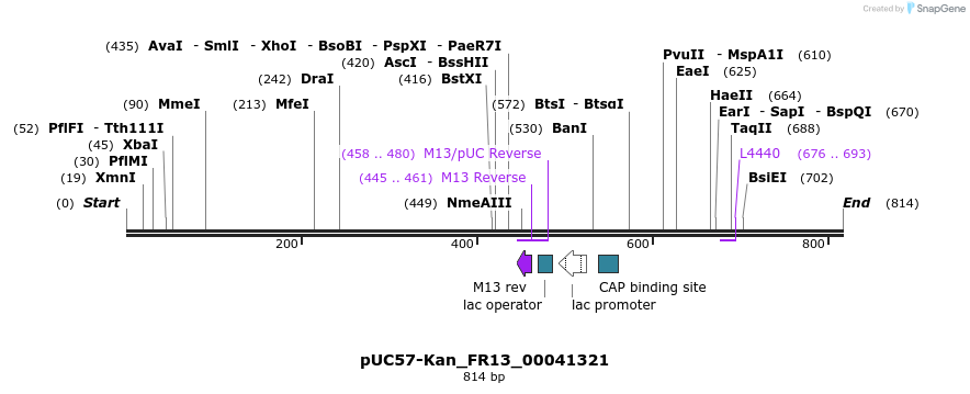 238051_map