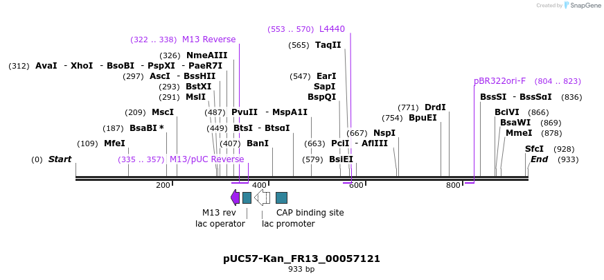 238052_map