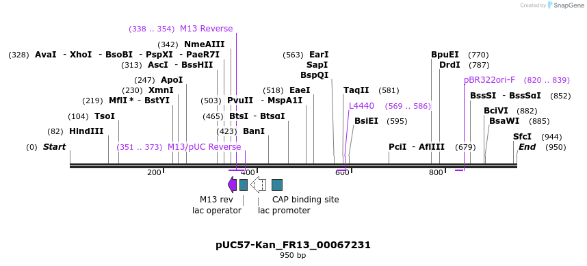 238055_map