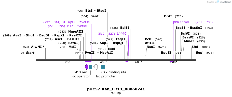 238057_map