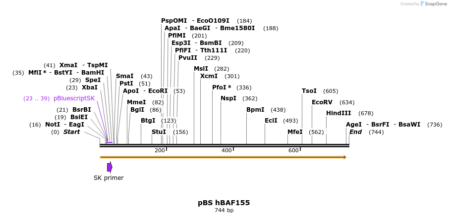 23806_map