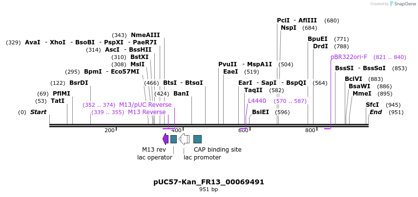 238062_map
