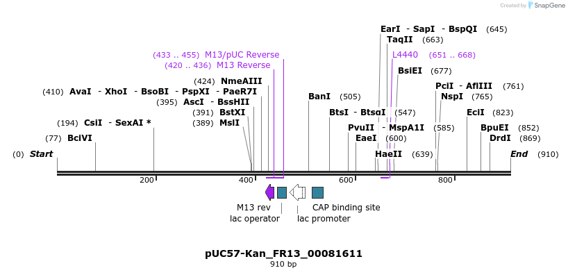 238072_map