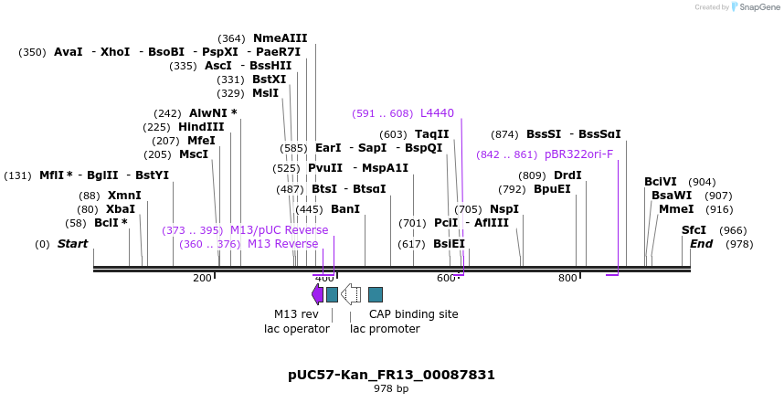 238074_map