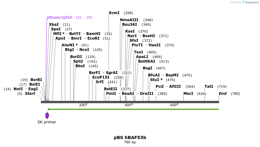 23808_map