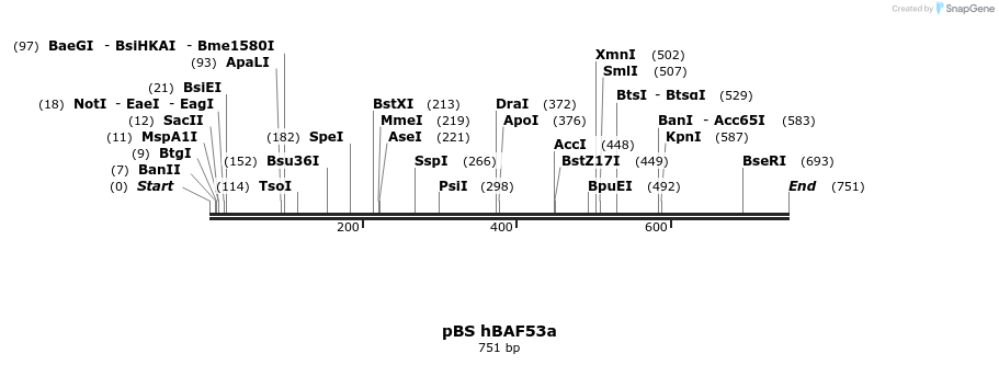 23809_map