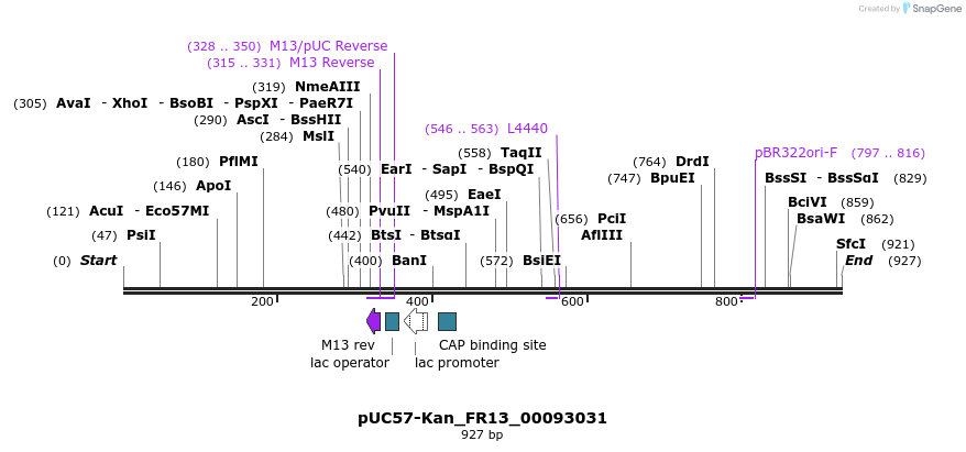 238099_map