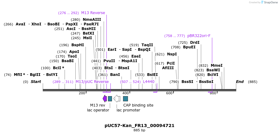 238100_map
