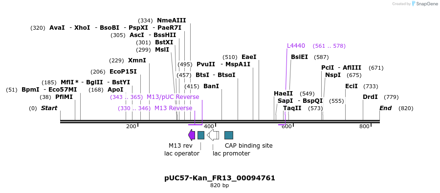 238101_map