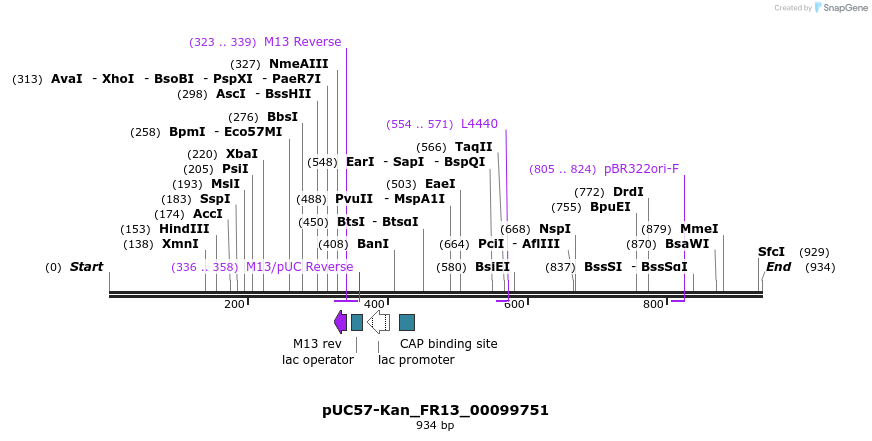 238104_map