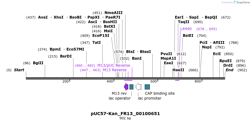 238105_map
