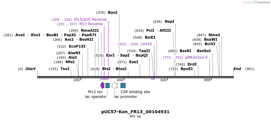 238106_map