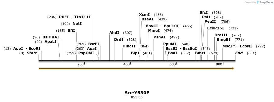 238114_map