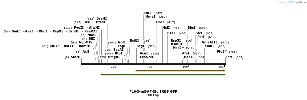 23812_map