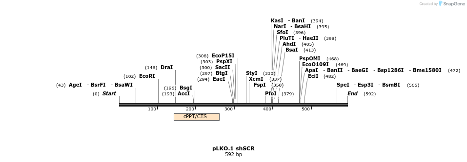 23813_map