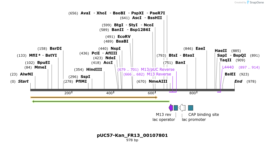 238134_map