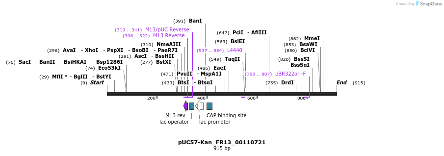 238138_map