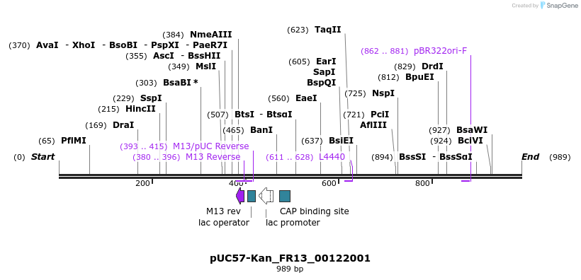 238147_map