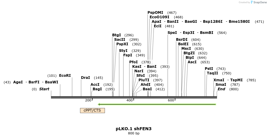 23815_map