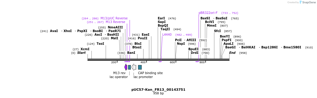 238151_map