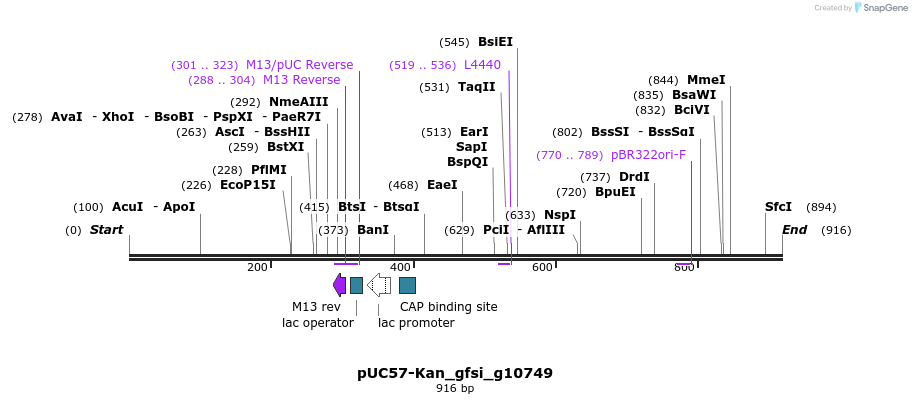 238156_map