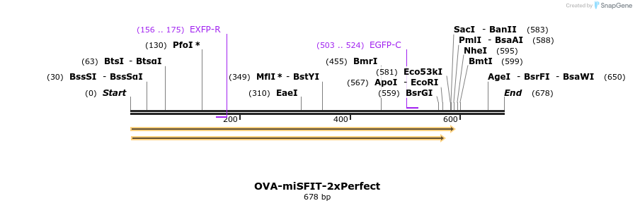 238160_map