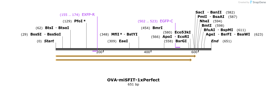 238161_map