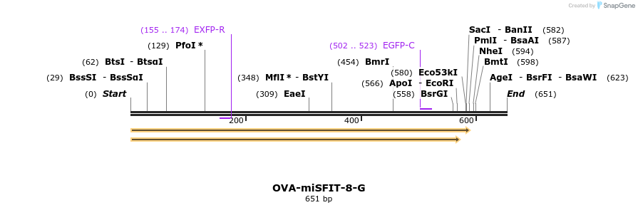238162_map