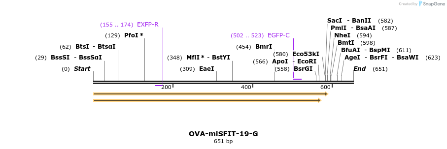 238163_map