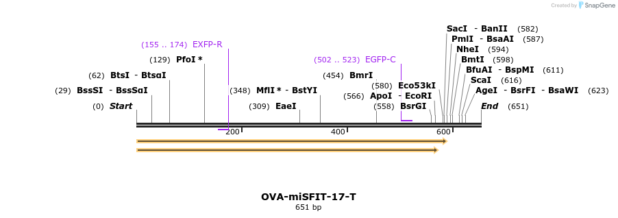 238164_map
