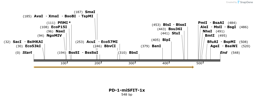 238166_map
