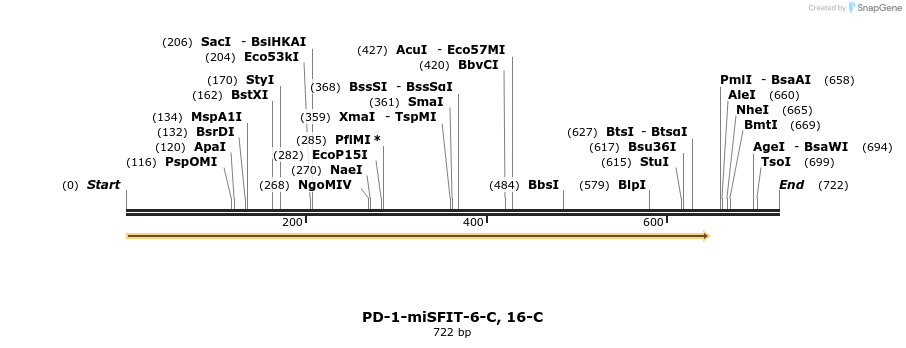 238168_map