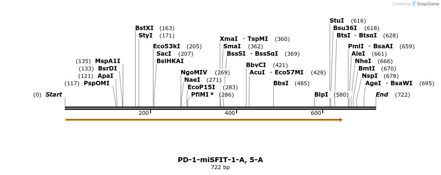 238169_map