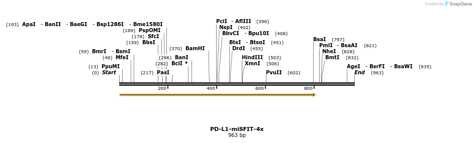 238171_map