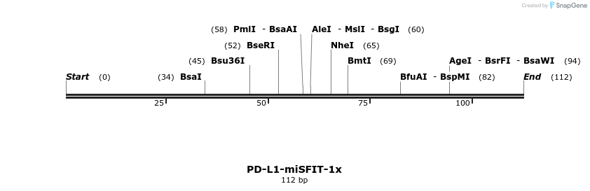 238172_map